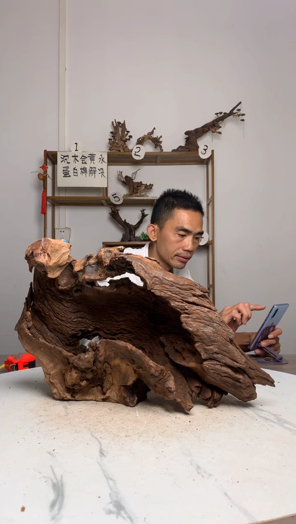 ꧁****꧂鱼缸造景沉木摆件