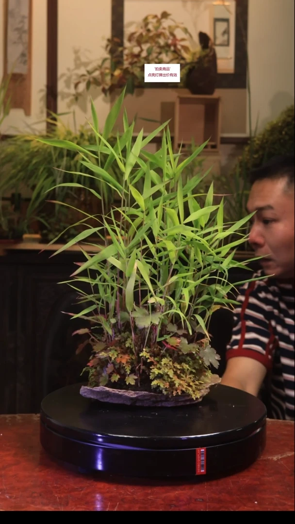 无花朵v然后今天有比较不同意见