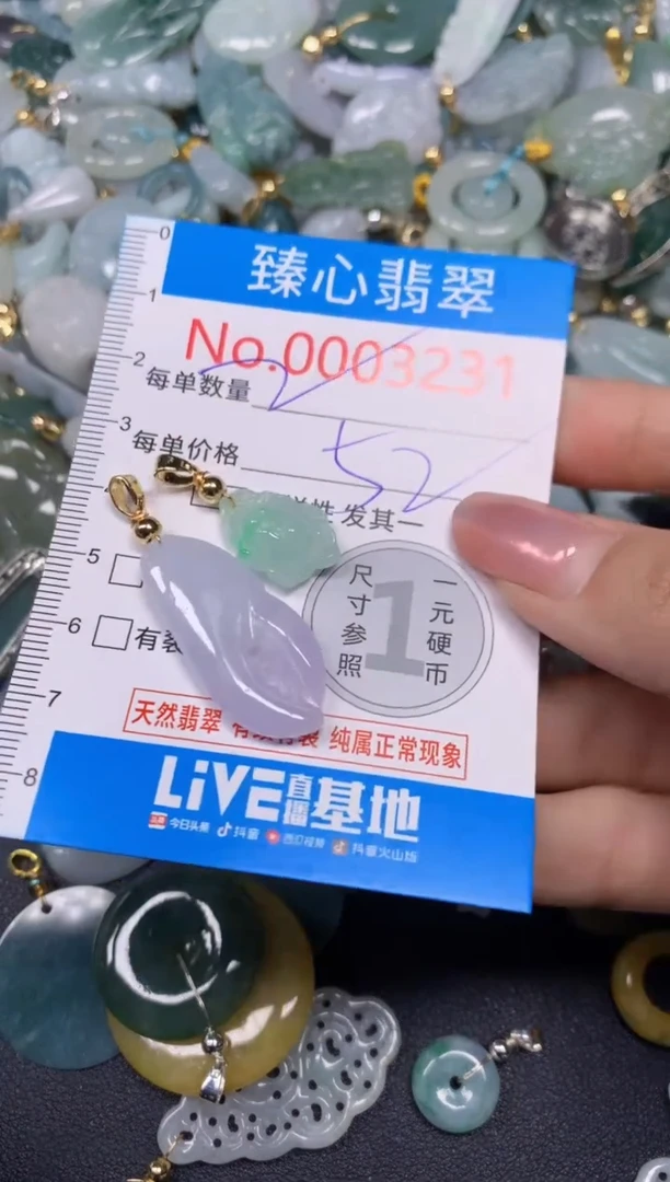 【闪购商品】翡翠颈饰未镶嵌含绳0003231