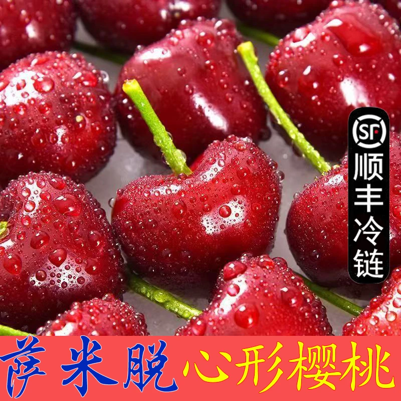 【省内拍】甘肃天水露天头茬萨米脱樱桃车厘子新鲜时令生鲜孕妇水果