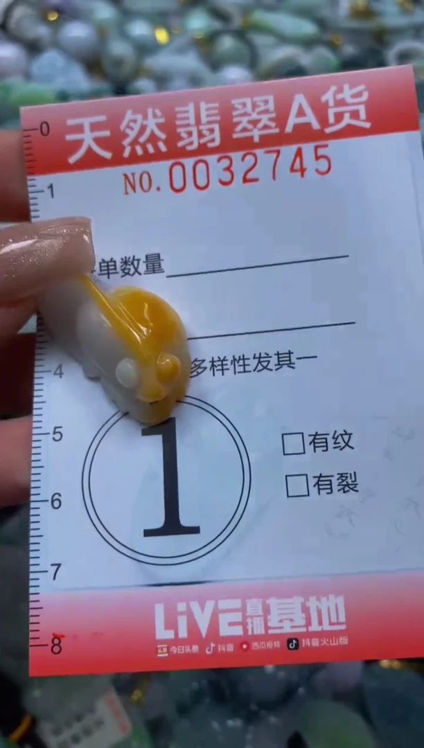 翡翠未镶嵌颈饰闪购0032745