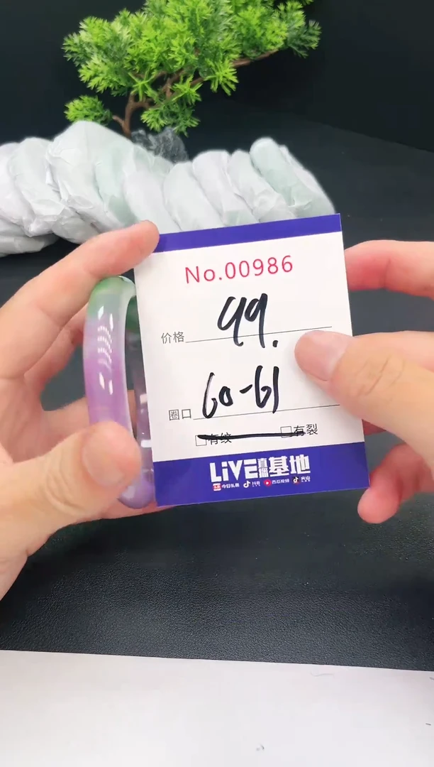 未镶嵌手镯翡翠00886
