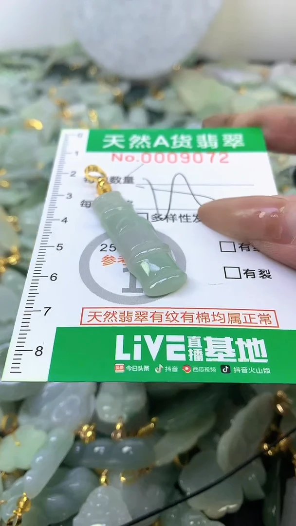 颈饰未镶嵌翡翠未镶嵌纯天然A货翡翠