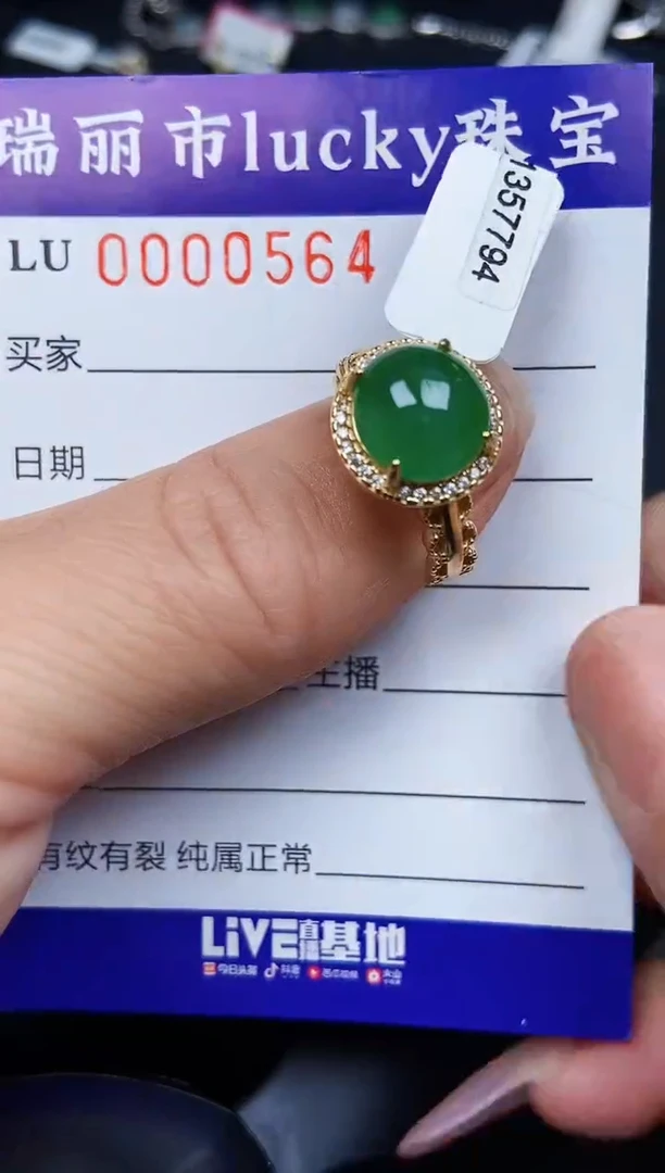 翡翠银S925镶嵌颈饰0564