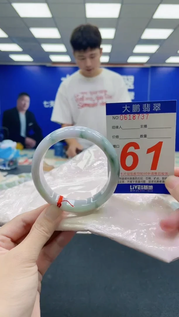 未镶嵌手镯翡翠AAAAAAAAA