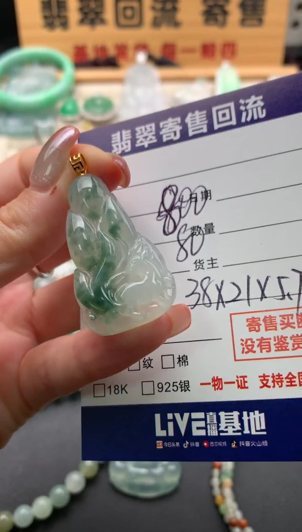 翡翠18K金镶嵌颈饰10140694