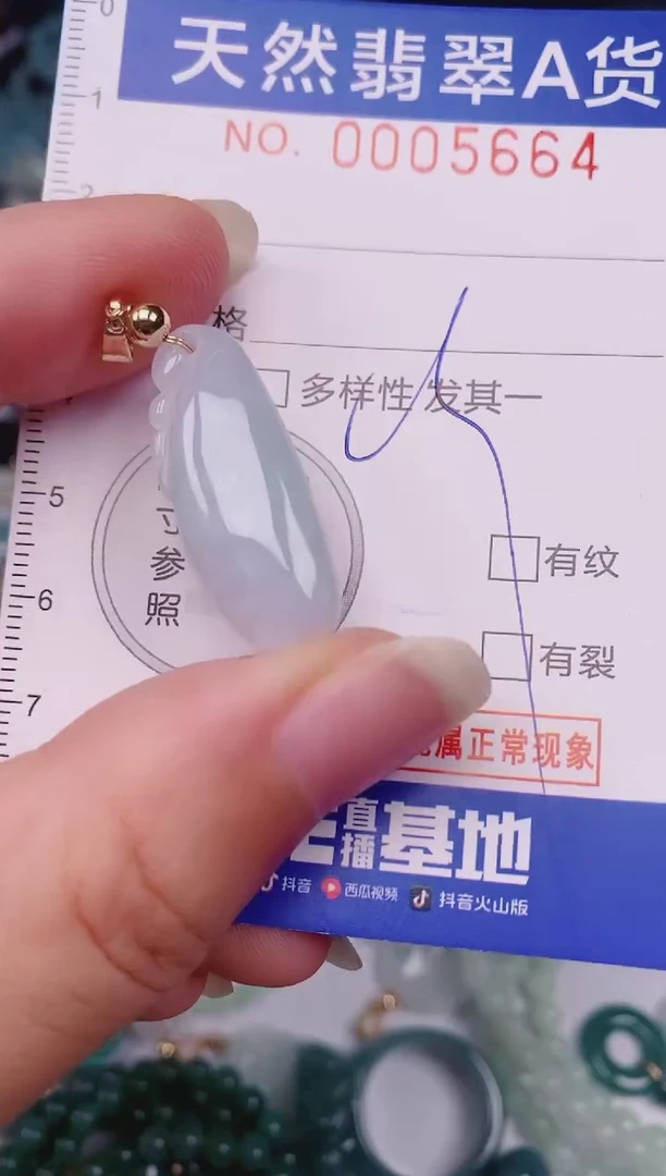 颈饰未镶嵌翡翠00005664