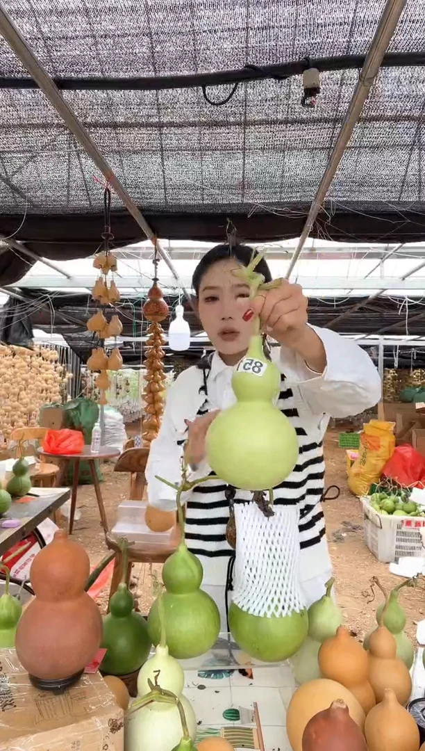 851天然葫芦摆件 一物一拍龙头不保售后