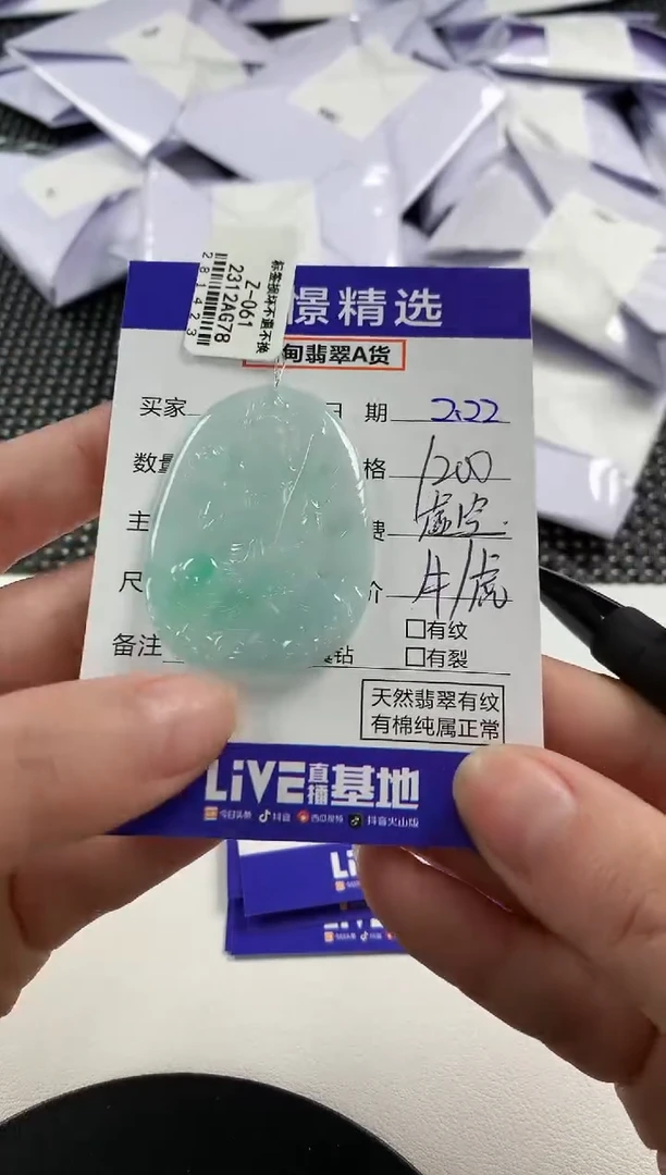 【闪购商品】翡翠颈饰未镶嵌29