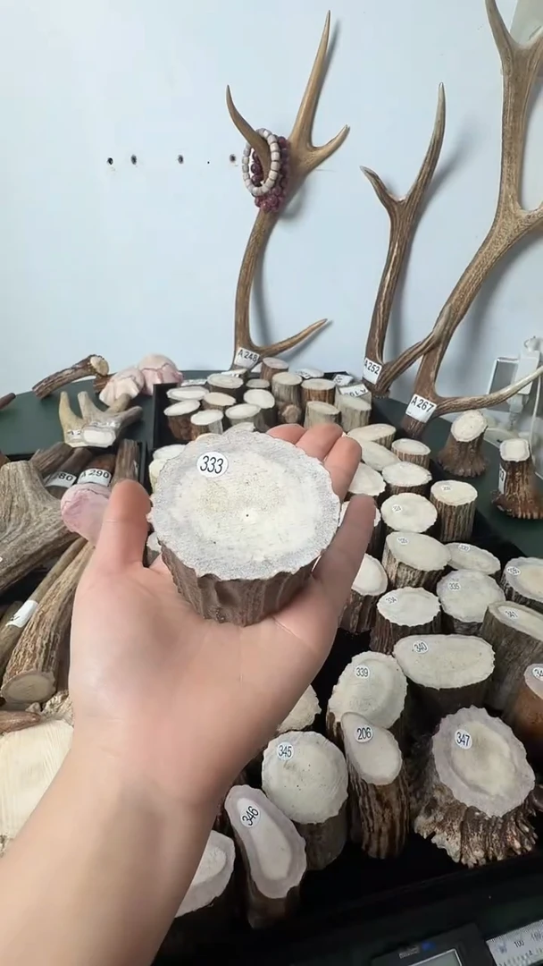 原皮鹿角雕刻料高密度