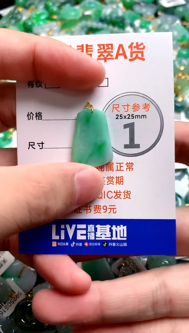 颈饰18K金镶嵌翡翠0463908602