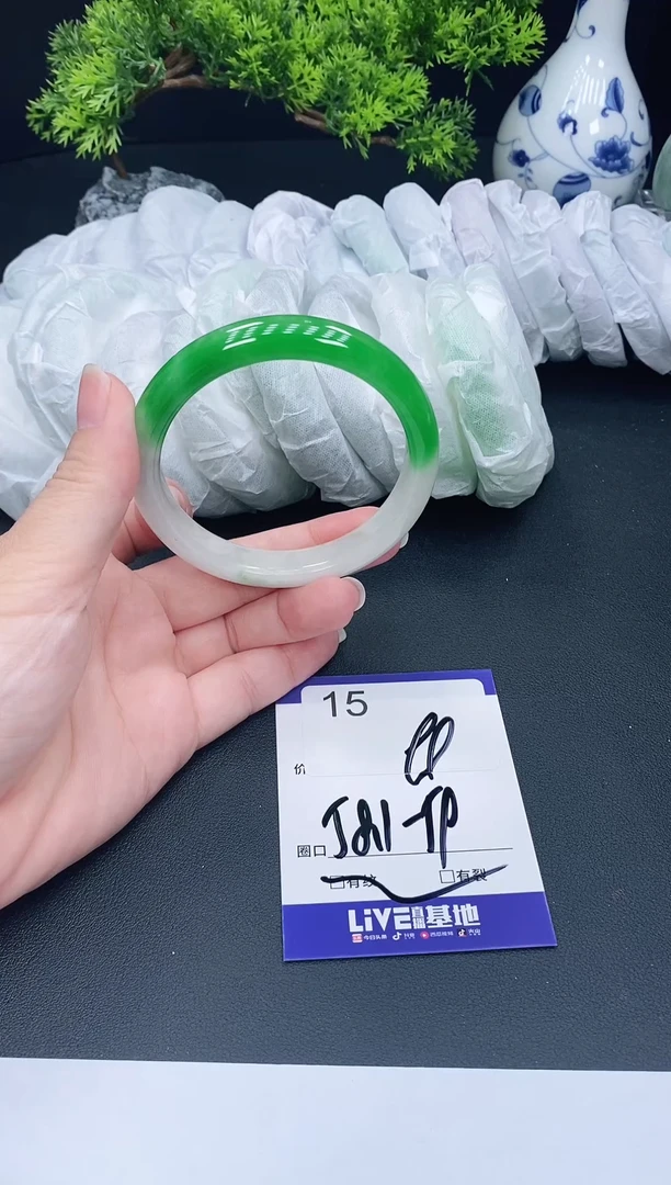 未镶嵌手镯翡翠15