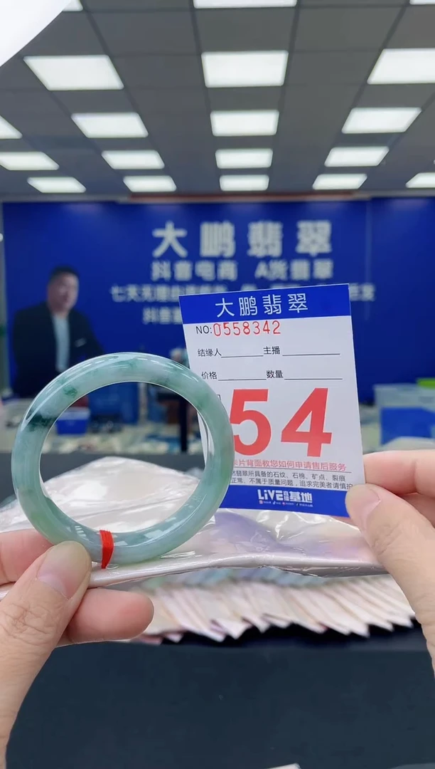 未镶嵌手镯翡翠AAAAAAAAAA