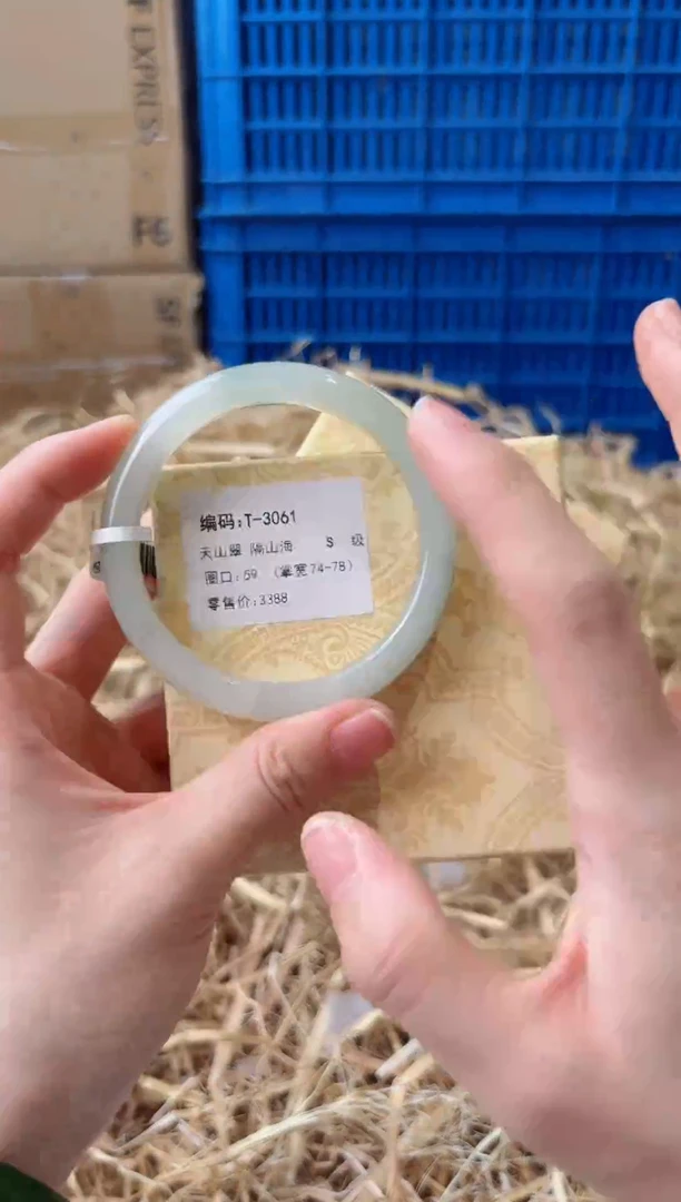 未镶嵌手镯石英质玉T-3061