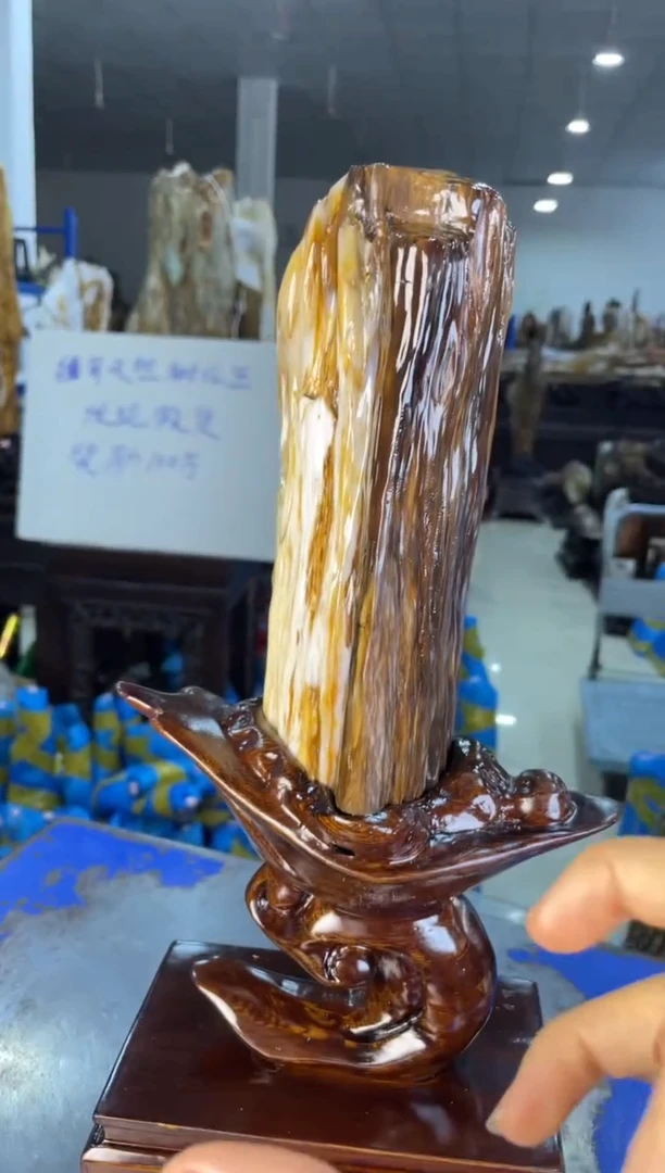 未镶嵌摆件硅化玉21