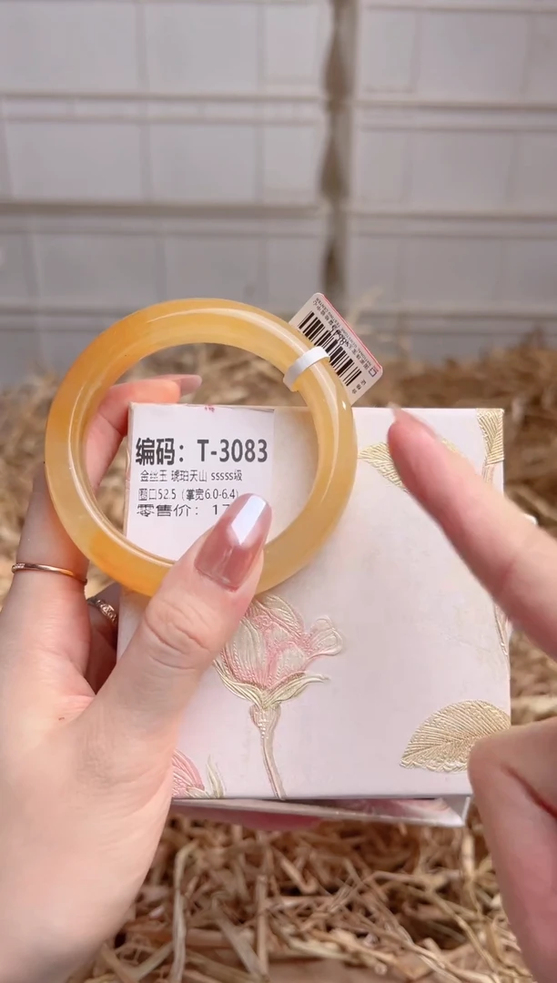 未镶嵌手镯石英质玉T-3083