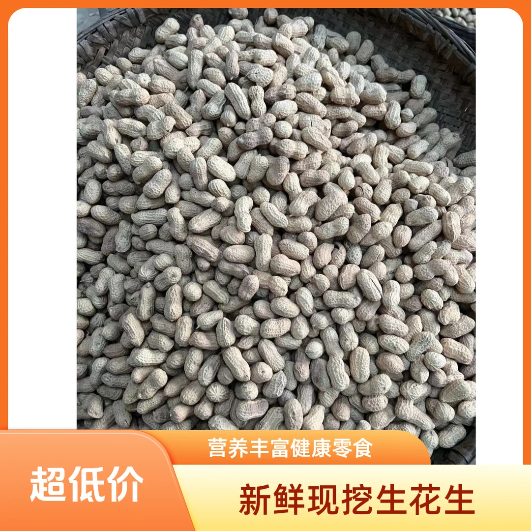 【净重2斤生花生】带壳坚果农家（生）干花生可吃可种新鲜营养大颗粒