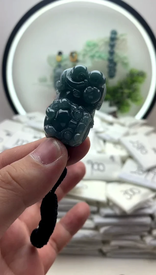 颈饰未镶嵌翡翠貔貅z