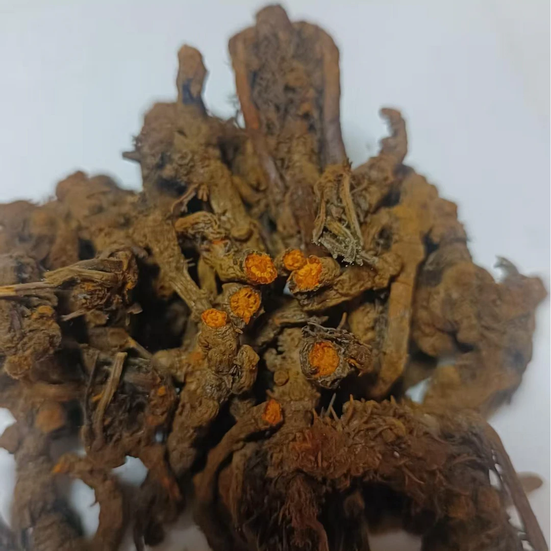 恩施黄连利川黄连高山图片黄连正宗正品干货黄连图片