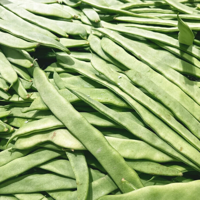 【刀豆】湘西农家种植当季蔬菜