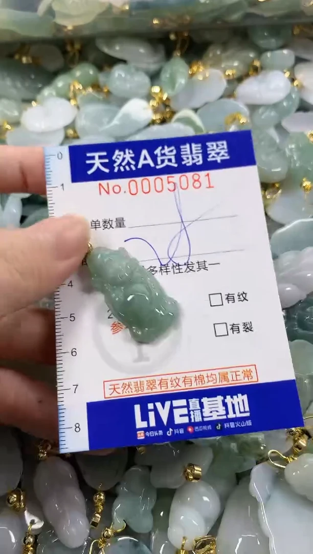 颈饰未镶嵌翡翠天然A货翡翠