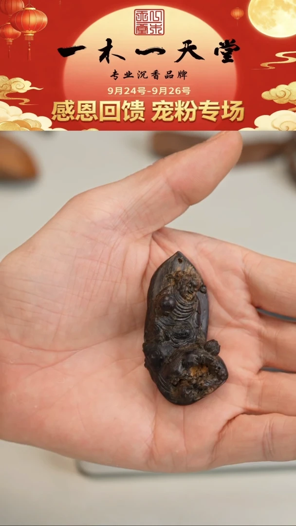 沉香沉香碎屑文莱沉水11.4g