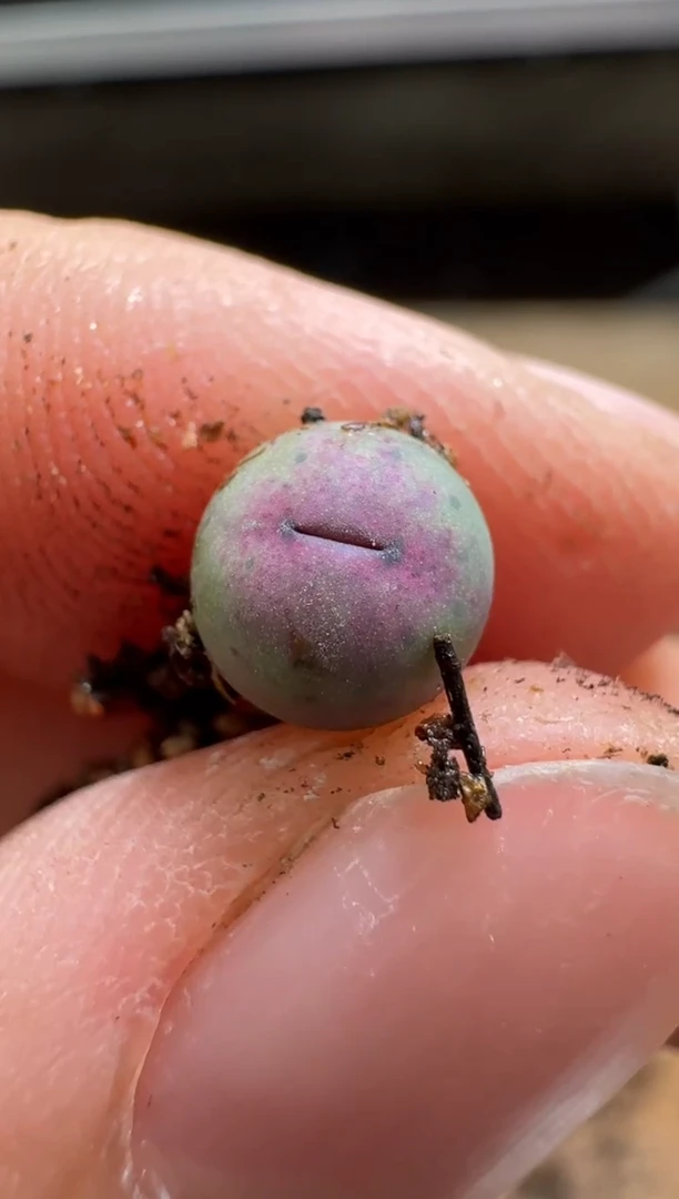 【闪购商品】1/22-180