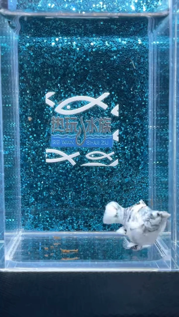 孔雀鱼水墨画 01