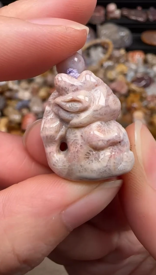 硅化珊瑚（珊瑚玉）未镶嵌颈饰729