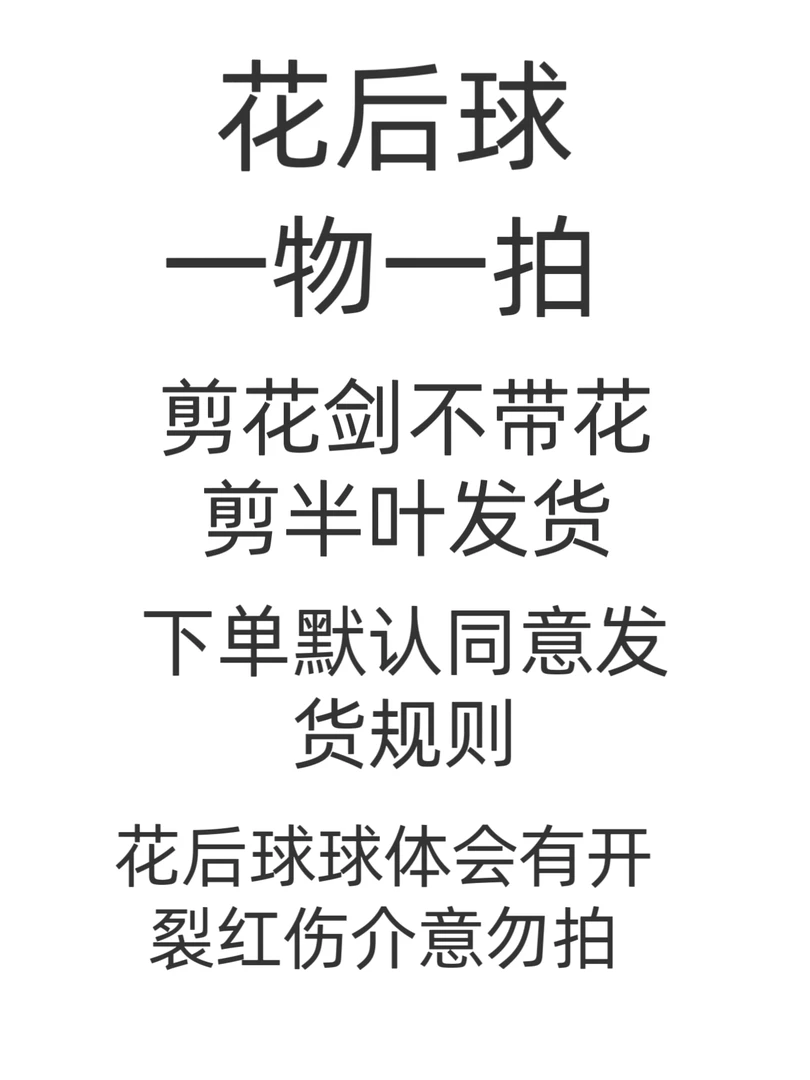 一物一拍【精品杂交朱】剪叶剪花剑  后期养护不售后 谨慎下单
