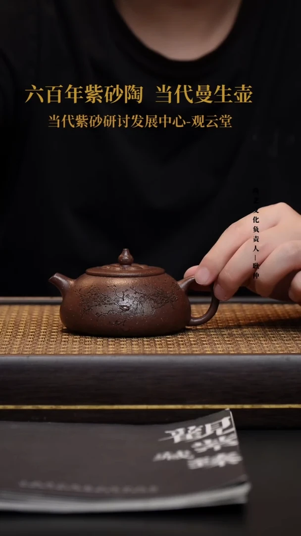 茶壶紫砂紫砂壶20 紫玉金砂 菱花