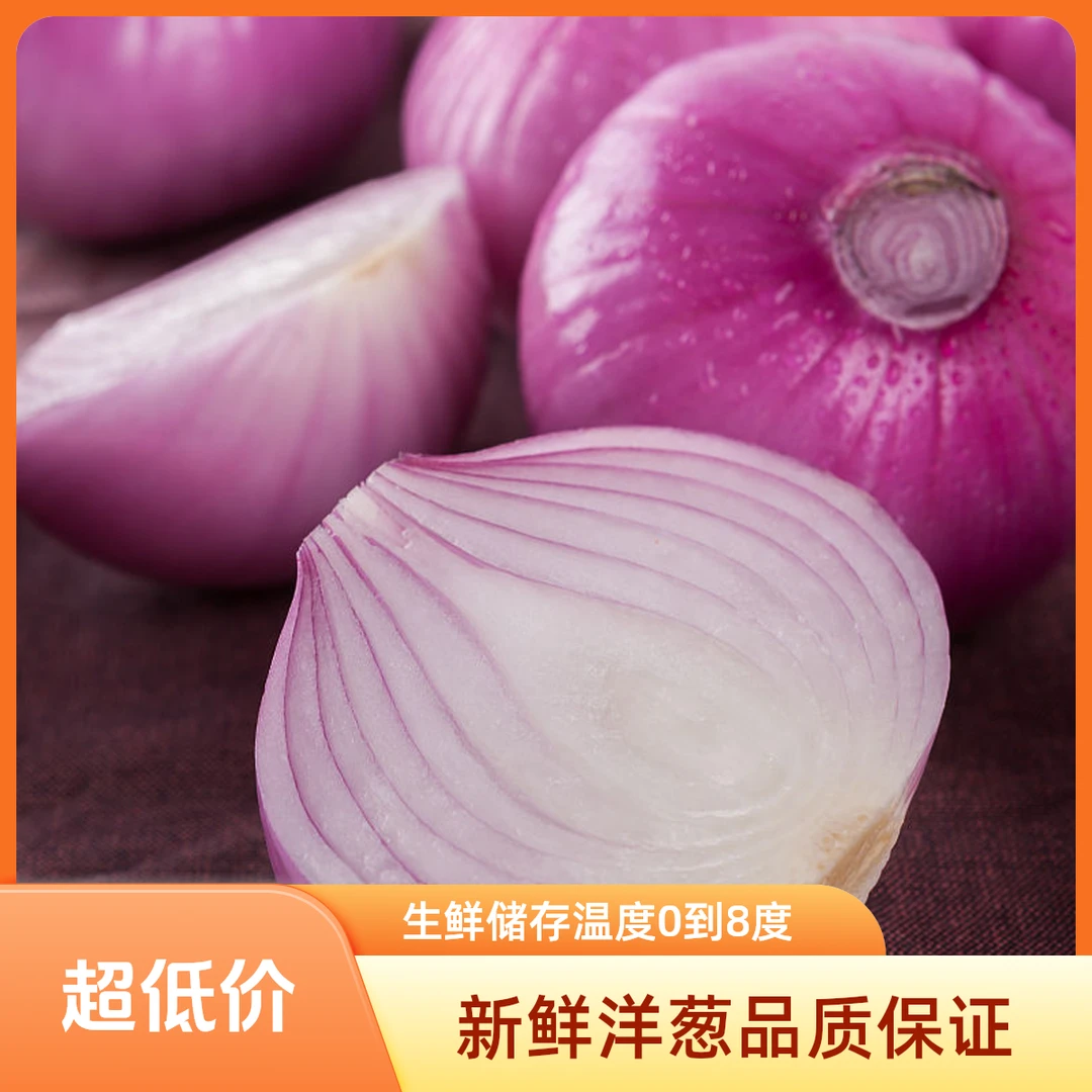 洋葱     1斤