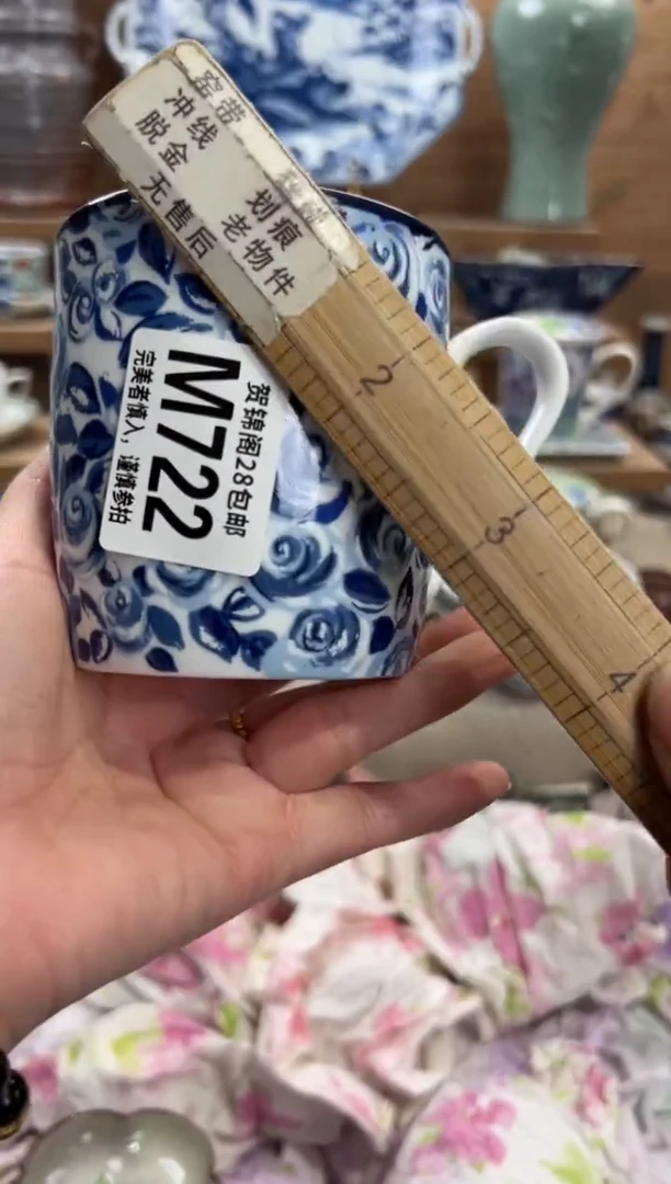 瓷片最**虫       M722