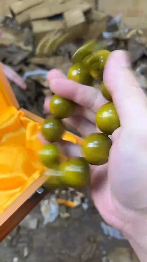 @@@@@@@@@@@@@@@