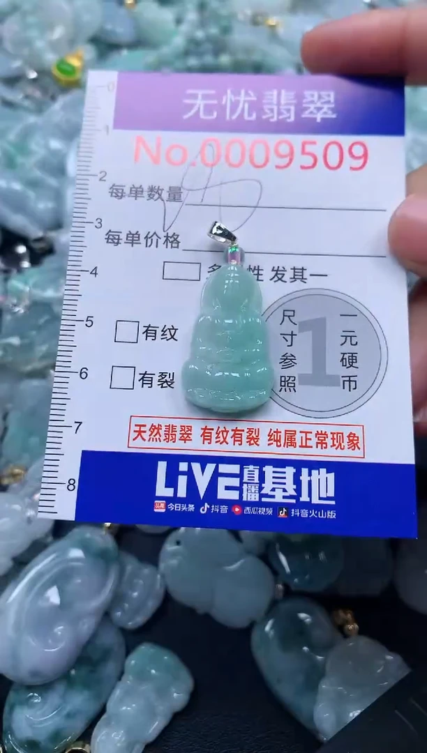 颈饰未镶嵌翡翠9509