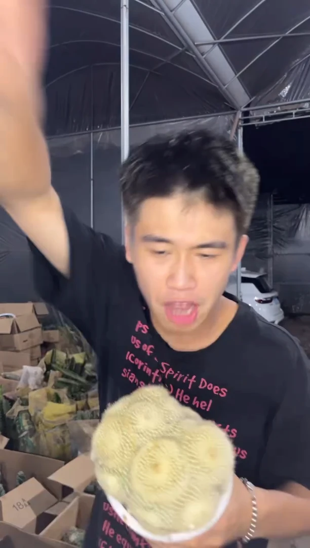 白雪光 群生【带根】