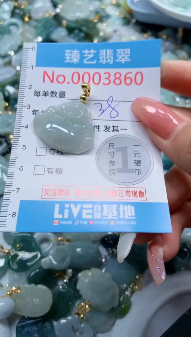 翡翠未镶嵌颈饰3860