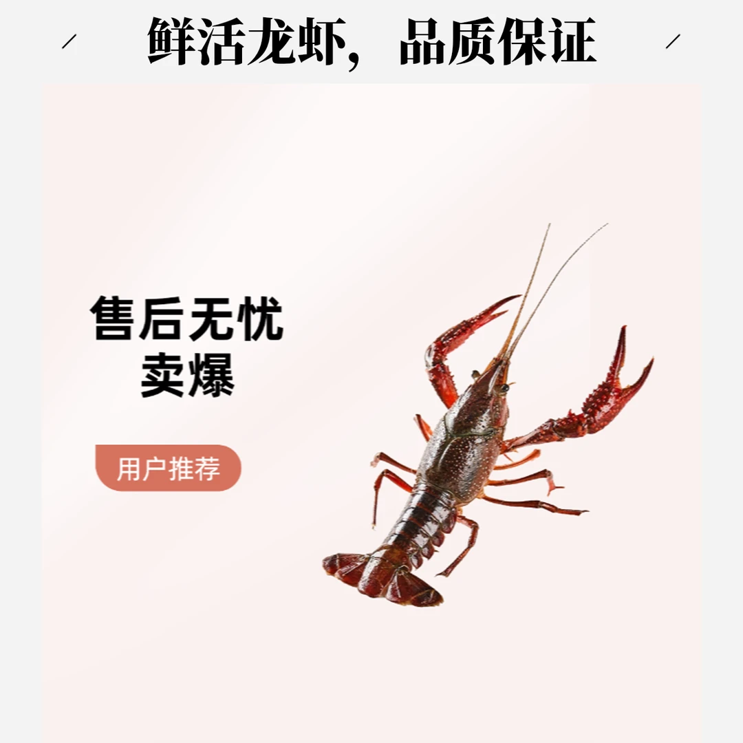 鲜活清水小龙虾（中号）1斤小龙虾制品小龙虾制品小龙虾制品龙虾同城送