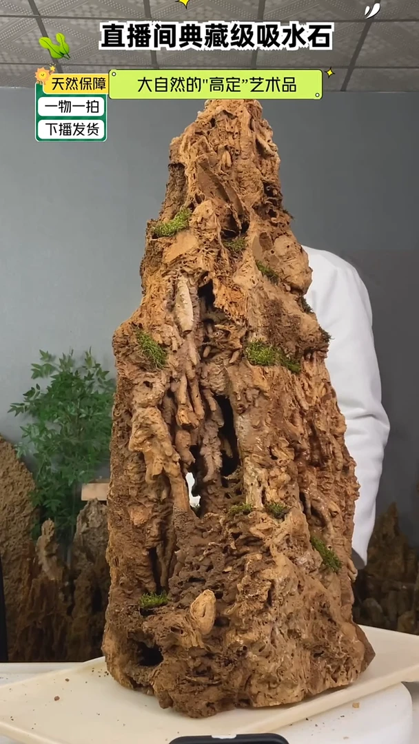 石材晓*天然吸水石上水石盆景555