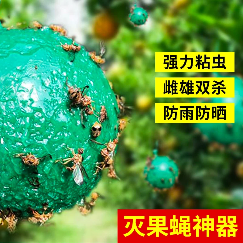 粘虫球丝瓜果实蝇贴诱蝇球针蜂马蜂色引诱剂果蝇诱捕器