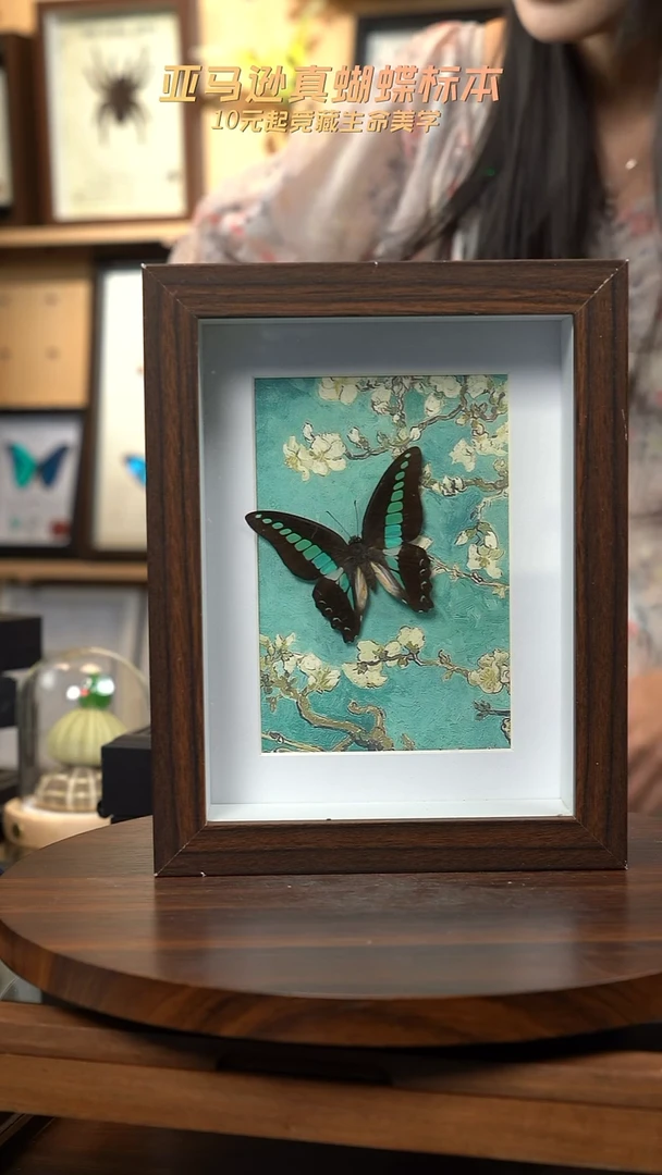 青凤蝶8寸复古框腊梅款
