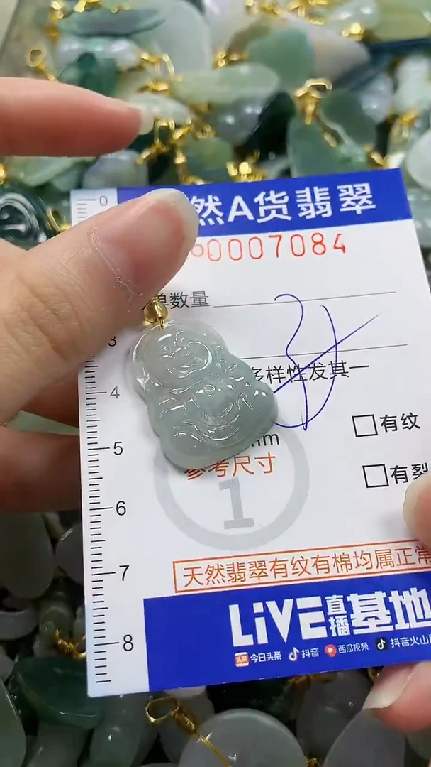 颈饰未镶嵌翡翠纯天然a货翡翠