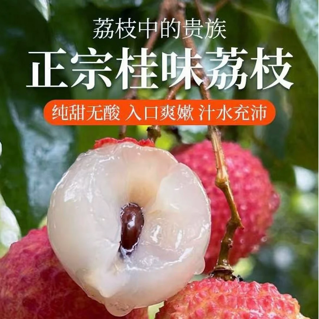 【省外拍】广州从化桂味荔枝5斤现摘现发口感软糯冷链直达