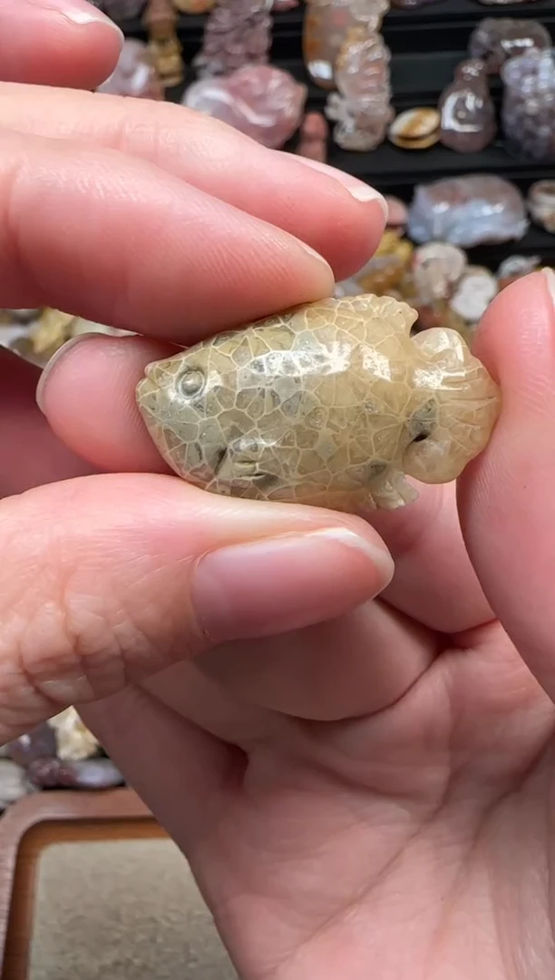 颈饰未镶嵌硅化珊瑚（珊瑚玉）835