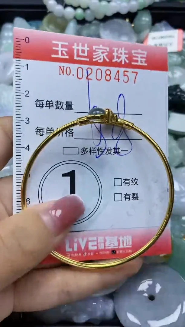 【闪购商品】翡翠颈饰未镶嵌闪购0208457