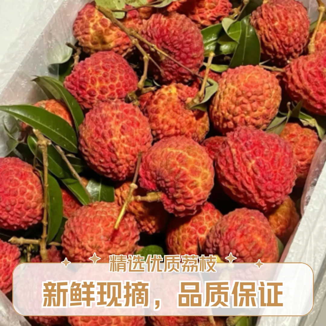 海南妃子笑荔枝15.8整盒（800g）荔枝同城送新鲜乌鲁木齐