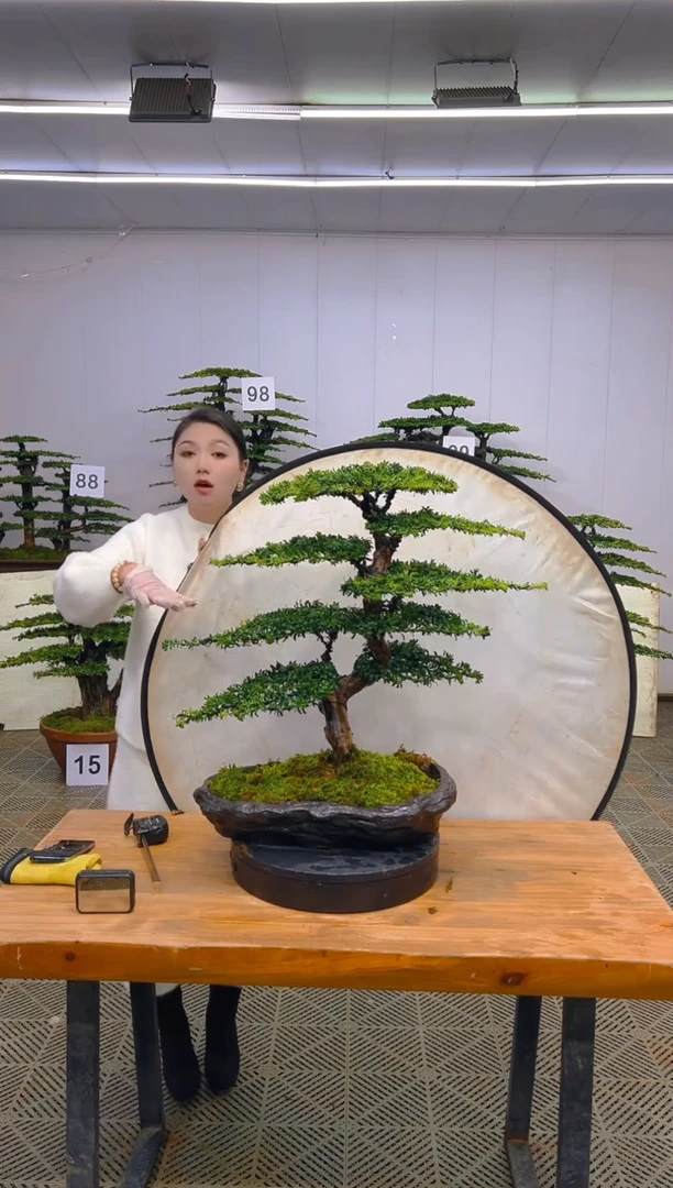 无花朵一物一拍一物一拍