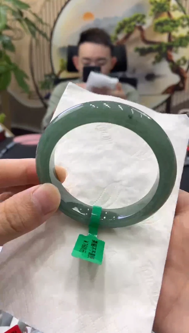 未镶嵌手镯翡翠5071