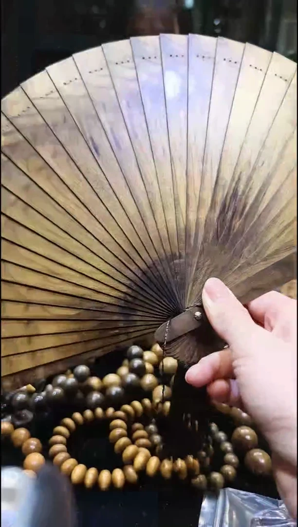 金丝楠     绿扇子