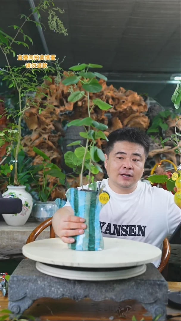 完全开放滨朴049T